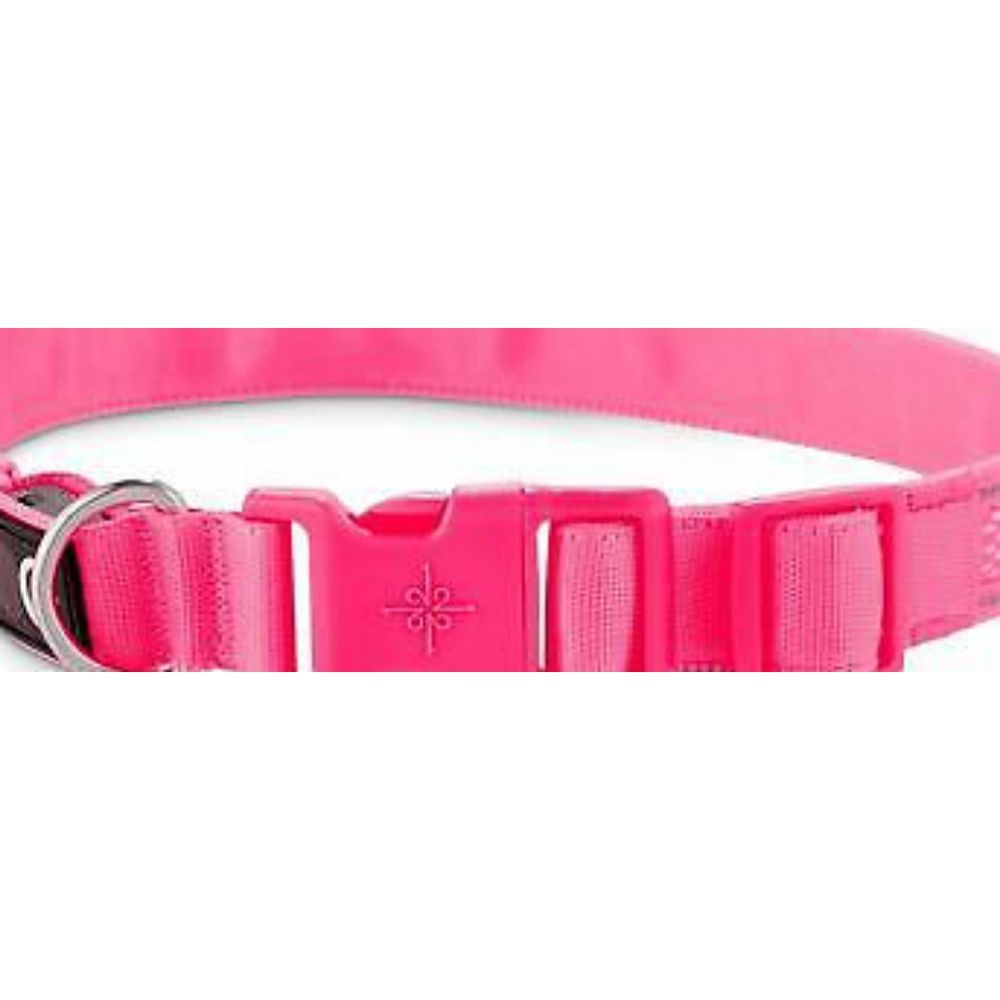 Good 2 Go led light up Small collars